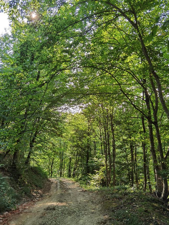 Les Hauts De Grazac, Chambres Et Tables D'Hotes Grazac  Kültér fotó